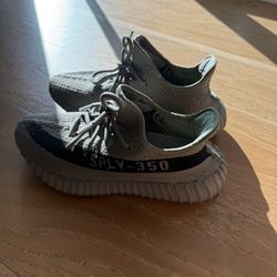Yeezy 350