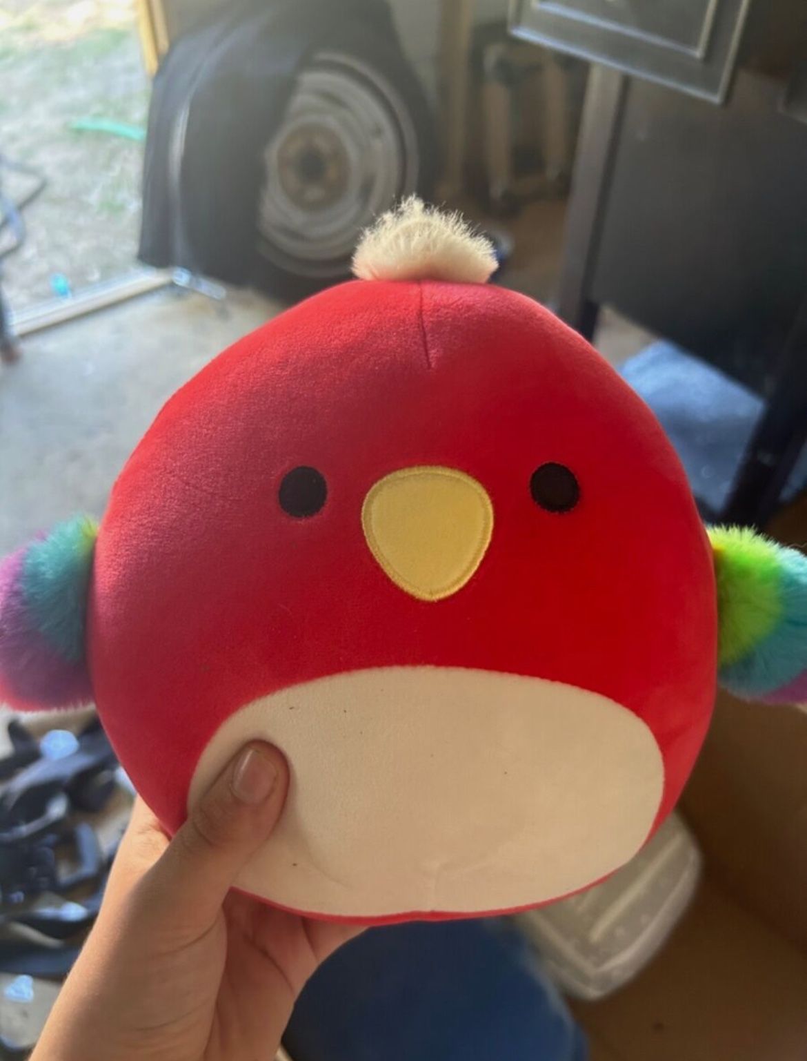 paco the parrot squishmallow