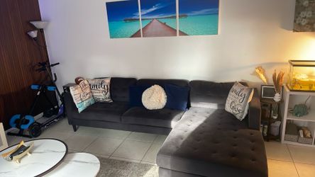 2 piece Gray couch