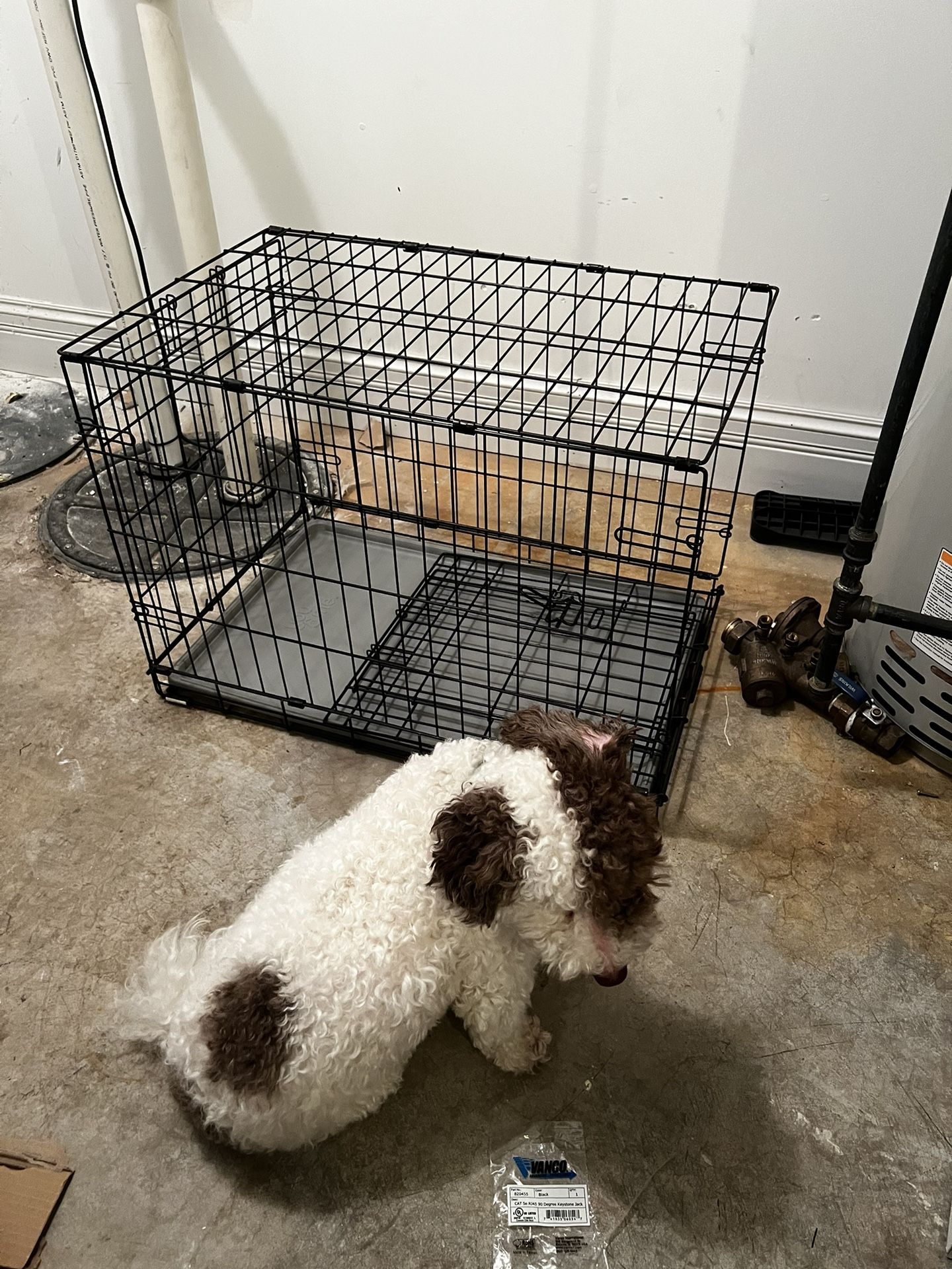 Dogs Crate