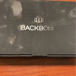 Backbone One
