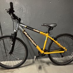 Raleigh Mountain Sport M80