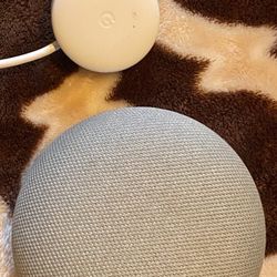 Google Nest Mini