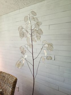 Dried flowers