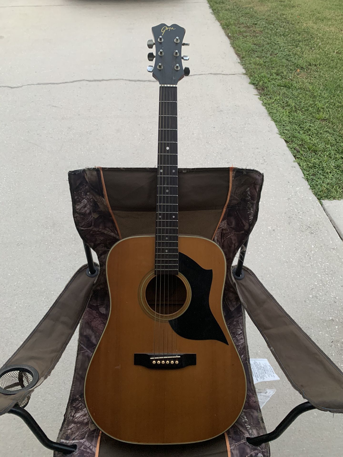 Goya 6 string acoustic guitar G320M. Great sound. Needs nothing done to it