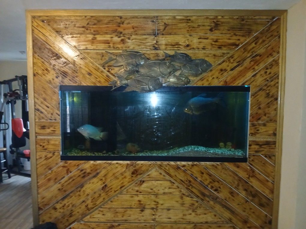 Fish Tack