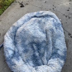 Large Dog Bed