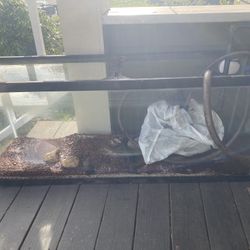 55gal Aquarium With Supplies And Friends