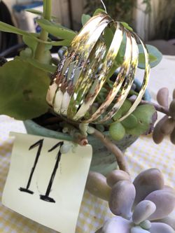 Gold plated bracelets 7 pcs. -Oro laminado púlselas 7 pzs.