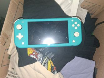 Nintendo switch handheld