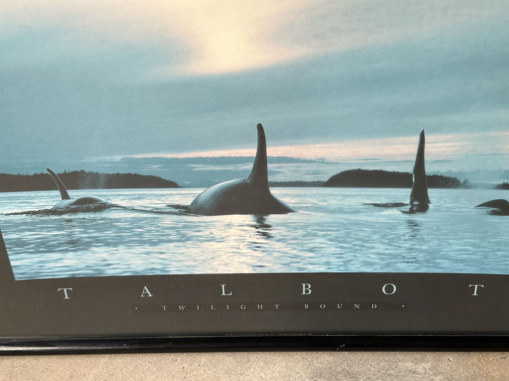 “Twilight Bound” Bob Talbot Print
