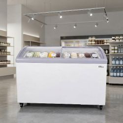 Curved Glass Door Freezer