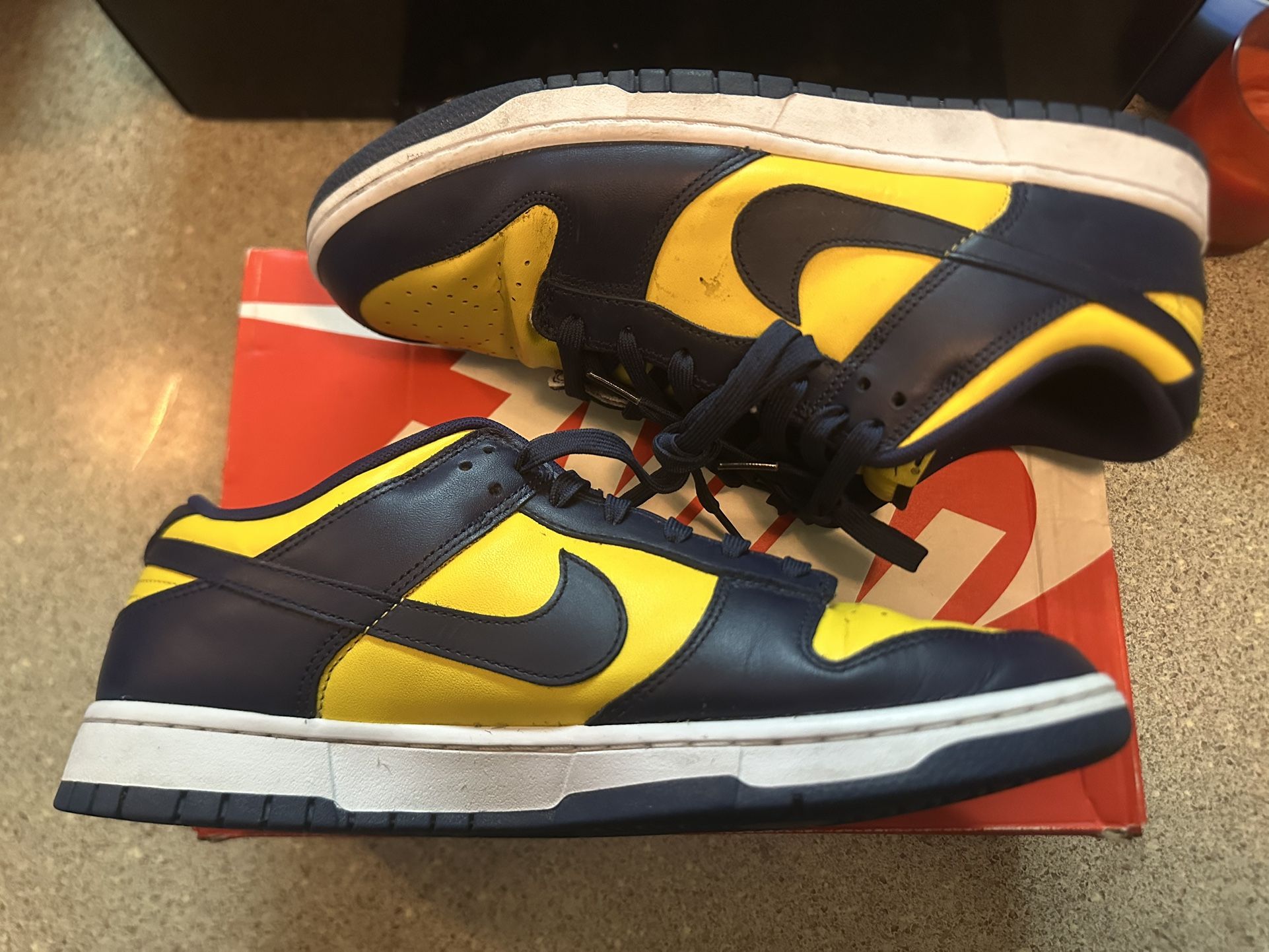 Nike Dunk Michigan 12