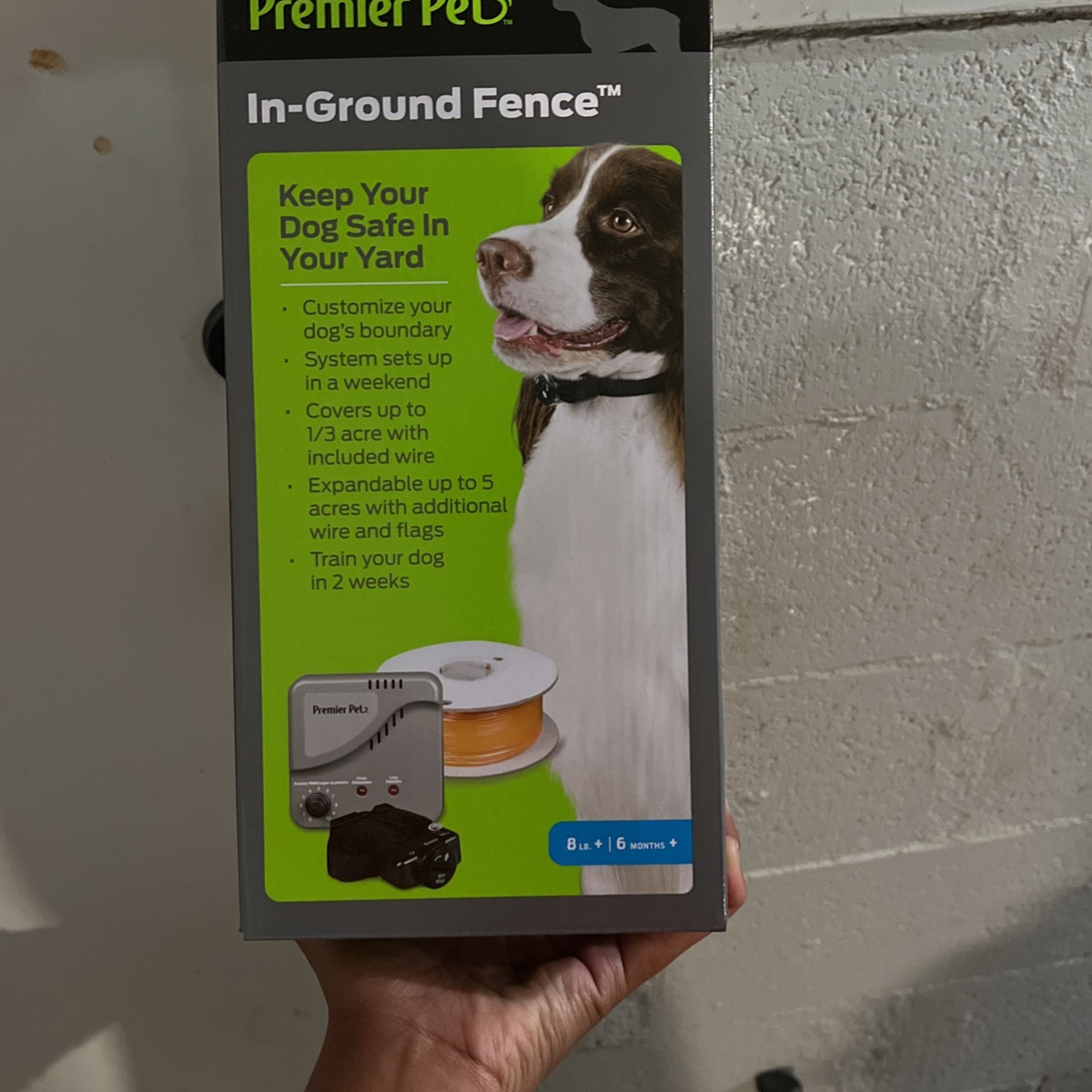 In Ground Fence