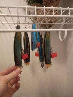 6 top water 1 crank bait