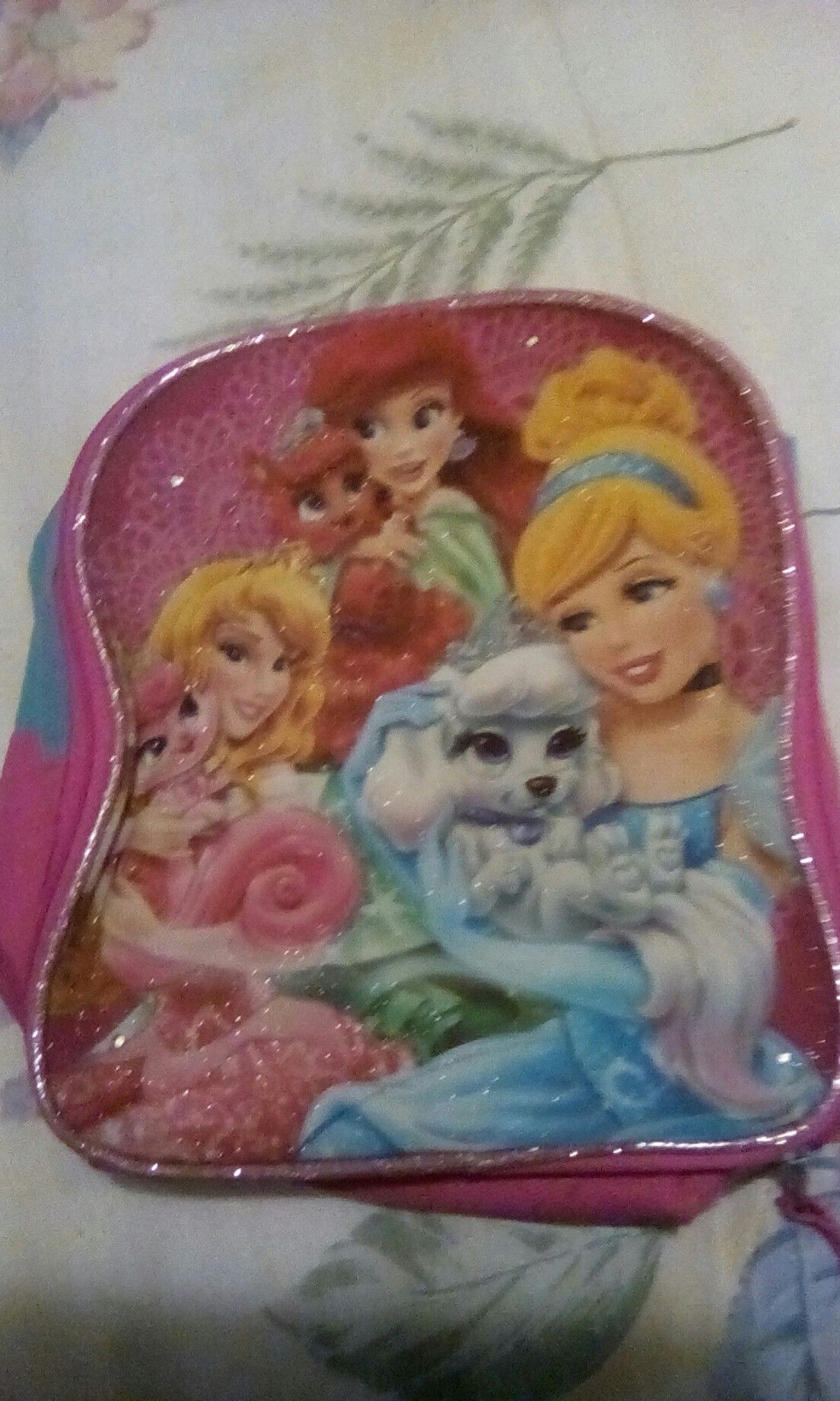 Disney princess lunch box