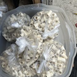 1/2” CPVC Tee 100 Unit