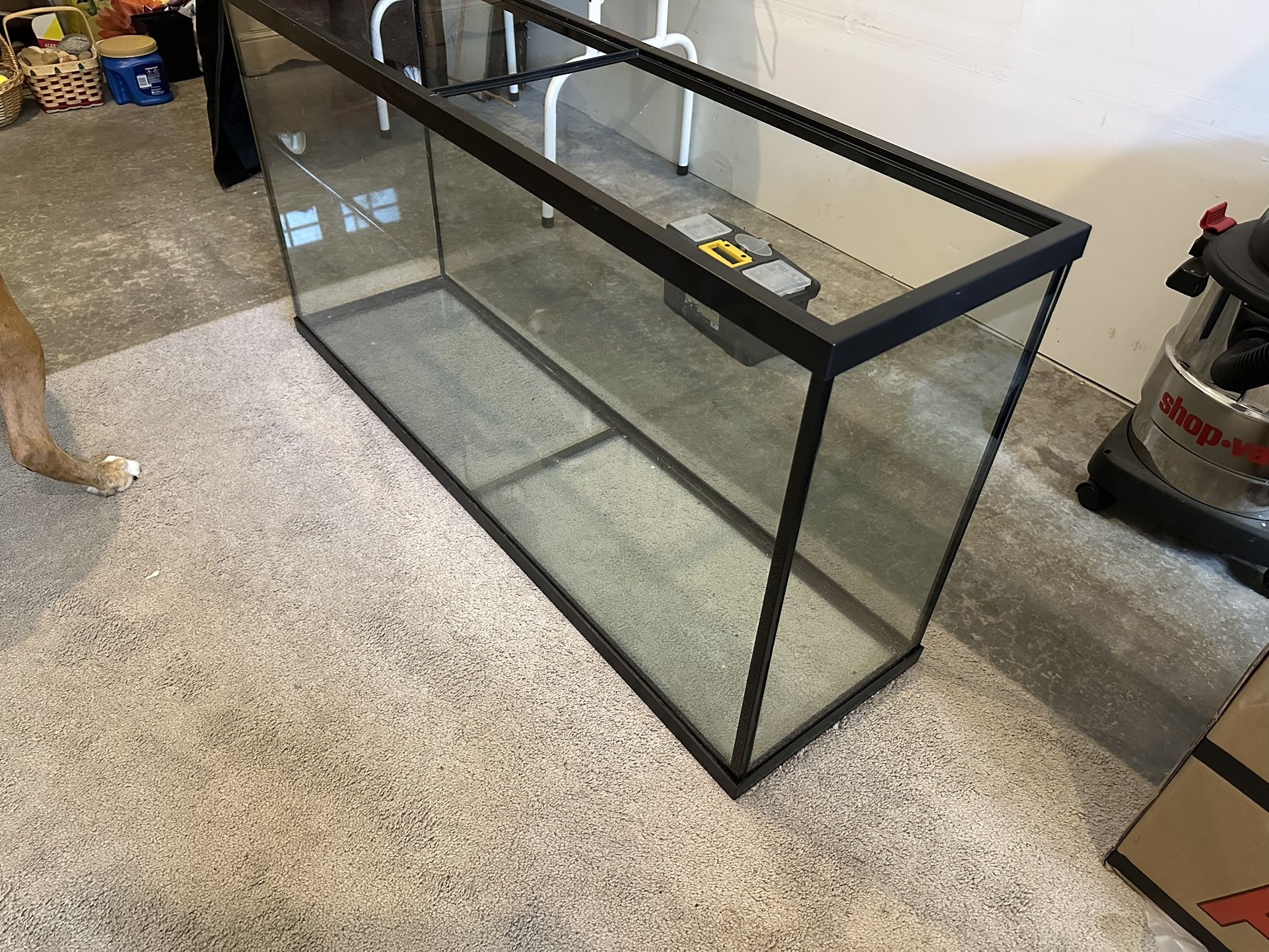 55 Gallon Fish Tank