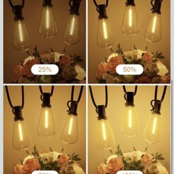 120FT Outdoor String Lights,