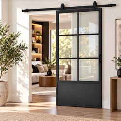30 in. x 84 Black Metal 6-Pane Glass Barn Door