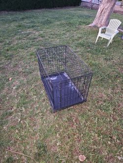 Medium Dog Cage