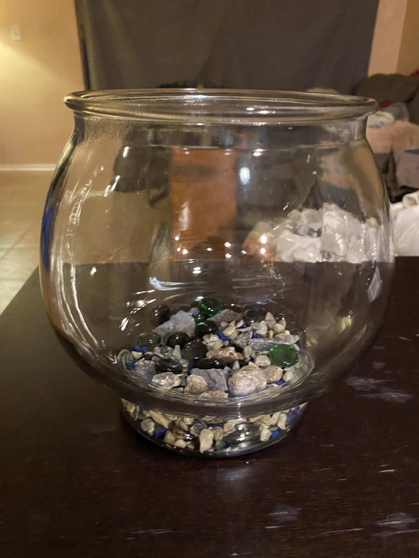 Glass 1 Gal Beta Fish Tank (rocks Included)