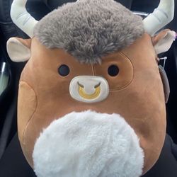 Shep 11in  Squishmallow 