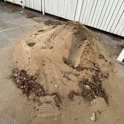 Free Sand