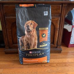 Dog Food 