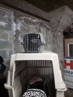 Dog and cat crates and dog houses cat houses