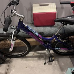 Schwinn Kids Bike 