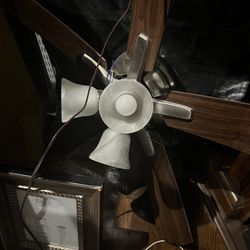 Cieling Fan