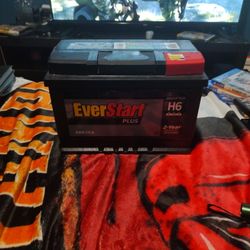 Everstart H6 Car Battery