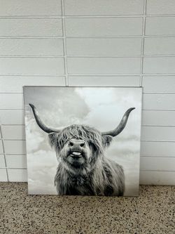 Bull cow ART western horns animal print picture