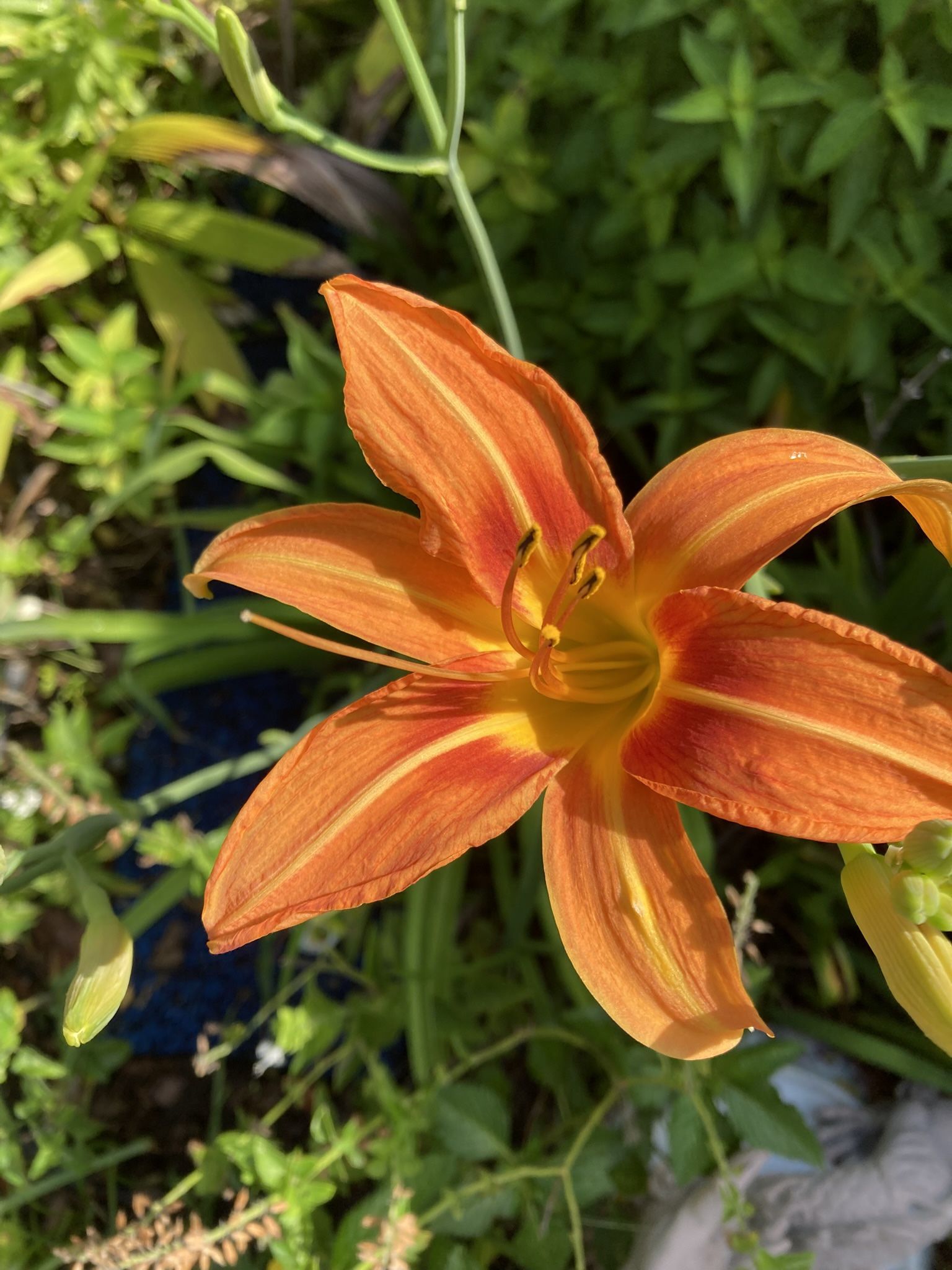 YARD SALE Sunday, July 6 eight –1 p.m.