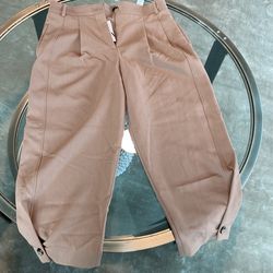 Zara Light Brown Pants