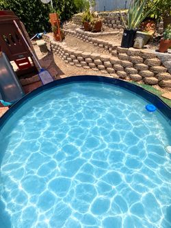 Intex dog pool