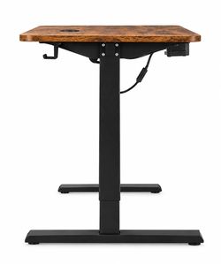 Electric Standing Desk Rustic Wood Top