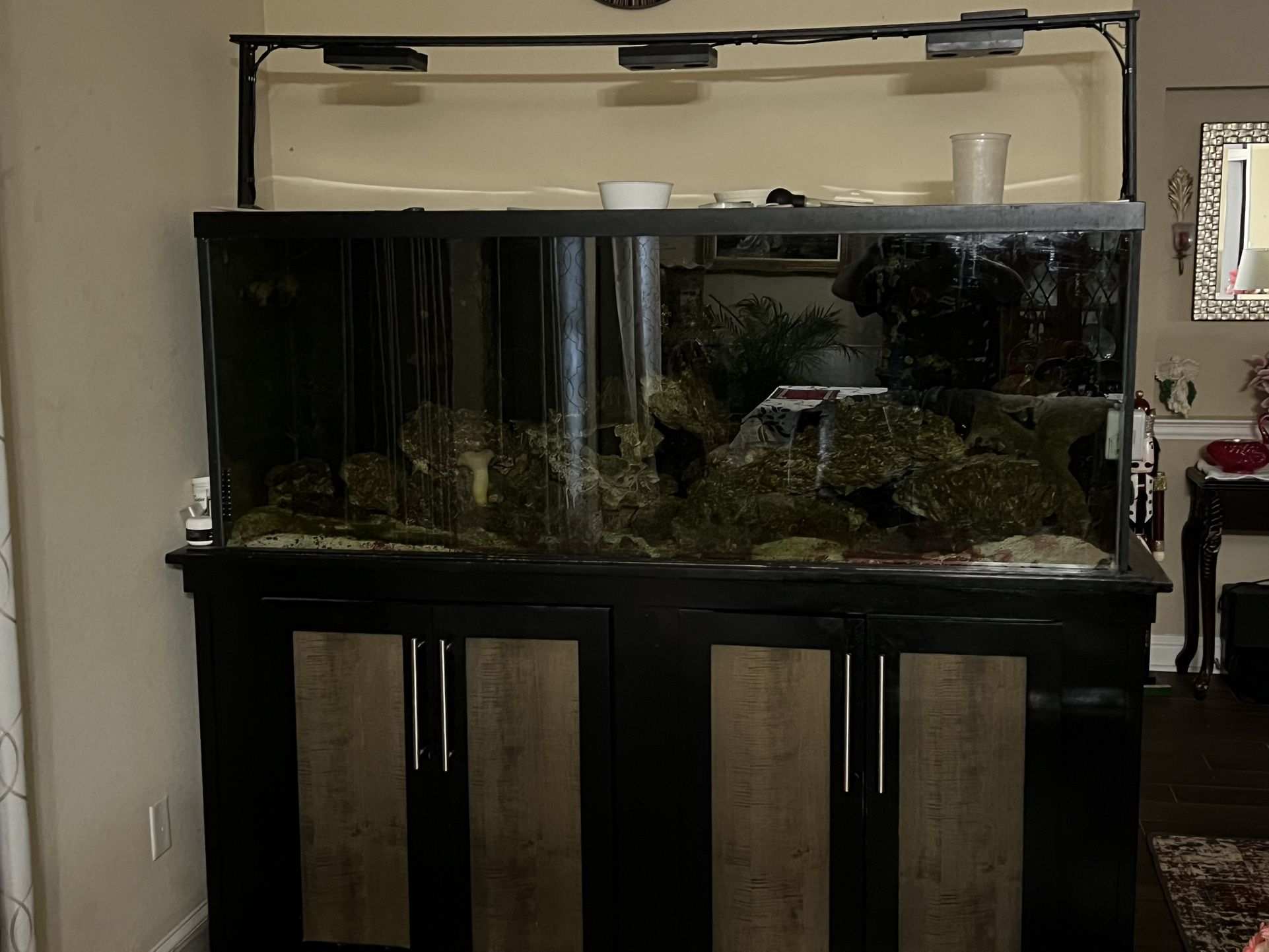 240 Gallon Saltwater Aquarium With Stock