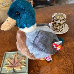 ty duck beanie baby