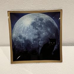 Black Cat Plate