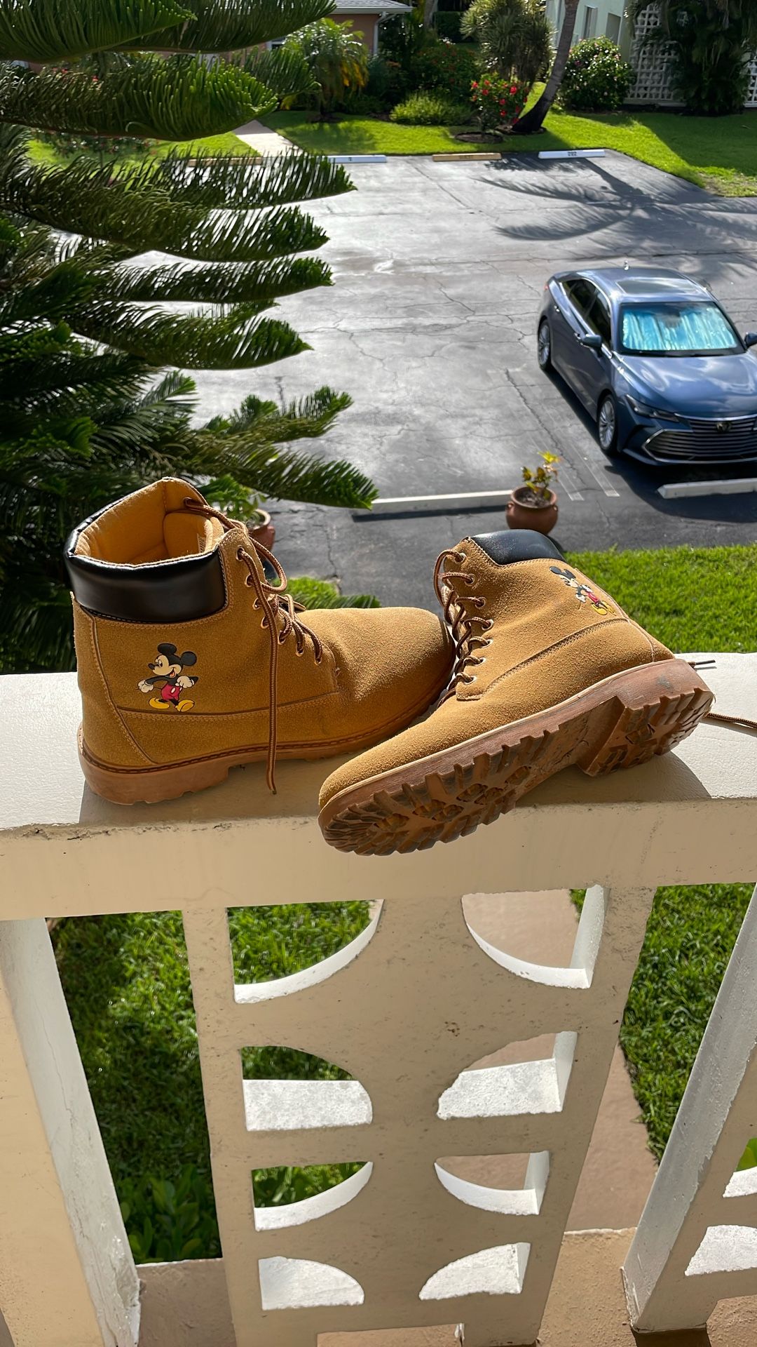 mickey timbs