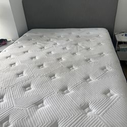 Queen Bed Frame + Box Spring-Great condition