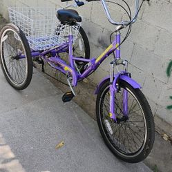 Mooncool 7 Speed  24"Inch Wheels Folding 