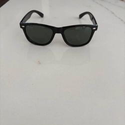 Wayfarer Style Sunglasses 
