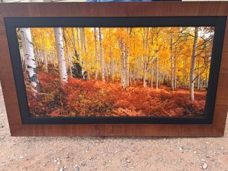 John Richter Signed & Numbered HUGE 73 inch x 43 inch Framed AMAZINGLY BEAUTIFUL art photo