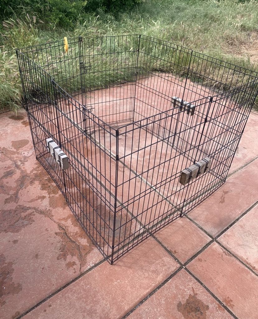 Dog Cage