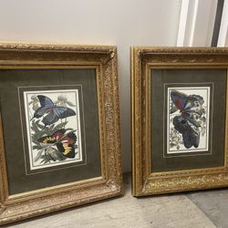 Gold Frame Butterfly Painting (Set of 2)