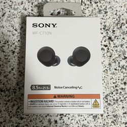 Sony Earbuds 