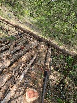 Line fence post and more